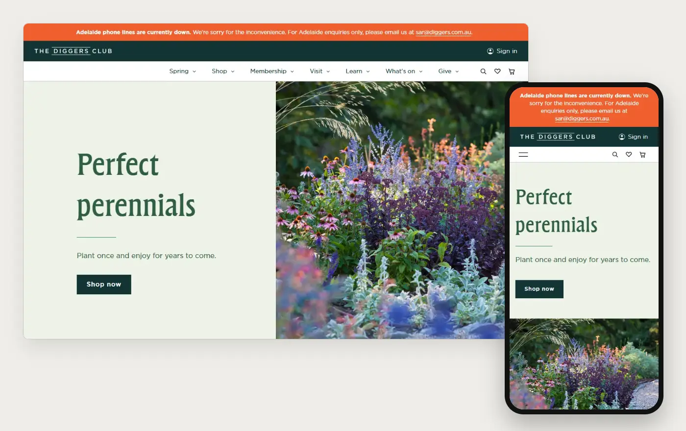 The Diggers Club online store at desktop and phone width, 20 October 2026